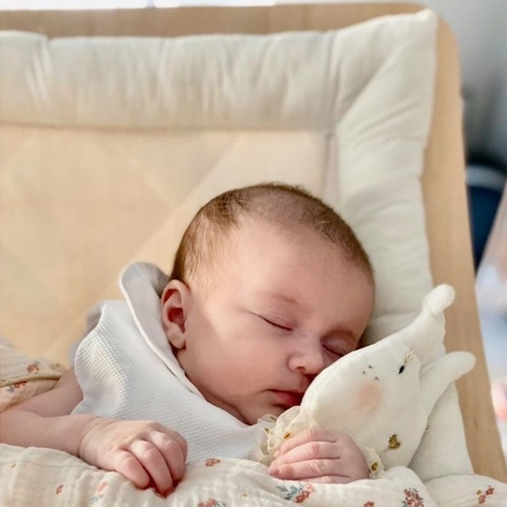 Doudou Lapin Mr Croq'Carotte - Bois de Rose