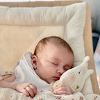 Doudou Lapin Mr Croq'Carotte - Bois de Rose